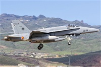 Paco Muoz Arencibia - Gran Canaria Spotters. Click to see full size photo