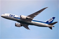 Miguel Martin Cordeiro - Iberian Spotters. Click to see full size photo