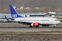 Alfonso Sols - Asociacin Canary Islands Spotting. Click to see full size photo