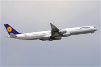 Miguel A. gueda Rguez.  (CANARY ISLANDS SPOTTING). Click to see full size photo