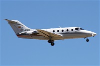 Alfonso Sols - Asociacin Canary Islands Spotting. Click to see full size photo