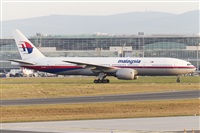 Rubn Gil - Noisy Spotters. Click to see full size photo