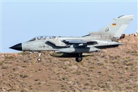©Adolfo Bento - Gran Canaria Spotters. Click to see full size photo ©Adolfo Bento - Gran Canaria Spotters. Click to see full size photo