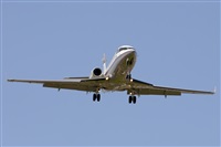 Miguel A. gueda Rguez.  (CANARY ISLANDS SPOTTING). Click to see full size photo