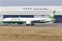 Rubn Gil - Noisy Spotters. Click to see full size photo