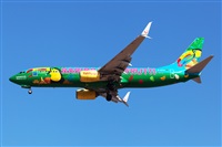 Florencio Martn Melin - Lanzarote Spotters. Click to see full size photo