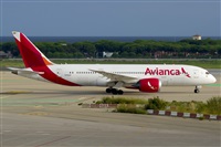 ©Saimon J Rodriguez - Canary Islands Spotting. Click to see full size photo ©Saimon J Rodriguez - Canary Islands Spotting. Click to see full size photo
