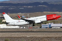 Alfonso Sols - Asociacin Canary Islands Spotting. Haz click para ampliar