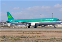 ©Luis Rguez - La Palma Spotting. Click to see full size photo ©Luis Rguez - La Palma Spotting. Click to see full size photo