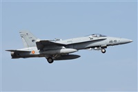 ©J. Victor Vega-Gran Canaria Spotters. Click to see full size photo ©J. Victor Vega-Gran Canaria Spotters. Click to see full size photo