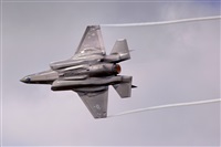 Javier de la Cruz - CANARY ISLANDS SPOTTING. Click to see full size photo