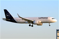 Miguel A. gueda Rguez.  (CANARY ISLANDS SPOTTING). Haz click para ampliar