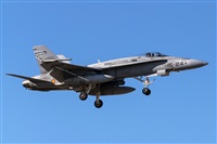Fco Javier Garca Ruiz. Click to see full size photo