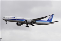 Miguel A. gueda Rguez.  (CANARY ISLANDS SPOTTING). Haz click para ampliar