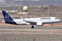 Miguel A. gueda Rguez.  (CANARY ISLANDS SPOTTING). Haz click para ampliar