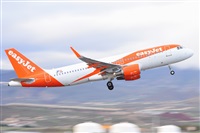 Miguel A. gueda Rguez.  (CANARY ISLANDS SPOTTING). Click to see full size photo