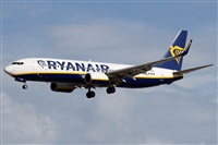 ©Alfonso Solís - Asociación Canary Islands Spotting. Click to see full size photo ©Alfonso Solís - Asociación Canary Islands Spotting. Click to see full size photo