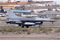 Alfonso Sols - Asociacin Canary Islands Spotting. Click to see full size photo