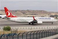 ©Alfonso Solís - Asociación Canary Islands Spotting. Click to see full size photo ©Alfonso Solís - Asociación Canary Islands Spotting. Click to see full size photo