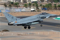 ŠLuis Rguez - La Palma Spotting. Click to see full size photo ŠLuis Rguez - La Palma Spotting. Click to see full size photo