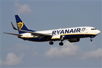 Alfonso Sols - Asociacin Canary Islands Spotting. Haz click para ampliar