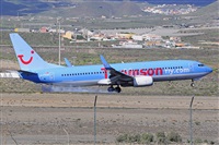 Miguel A. gueda Rguez.  (CANARY ISLANDS SPOTTING). Haz click para ampliar