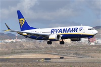 Miguel A. gueda Rguez.  (CANARY ISLANDS SPOTTING). Click to see full size photo