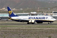 Alfonso Sols - Asociacin Canary Islands Spotting. Click to see full size photo
