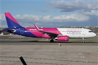 Alfonso Sols - Asociacin Canary Islands Spotting. Click to see full size photo