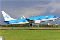 Miguel A. gueda Rguez.  (CANARY ISLANDS SPOTTING). Click to see full size photo