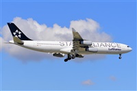 Miguel A. gueda Rguez.  (CANARY ISLANDS SPOTTING). Click to see full size photo