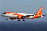 ©Alfonso Solís - Asociación Canary Islands Spotting. Click to see full size photo ©Alfonso Solís - Asociación Canary Islands Spotting. Click to see full size photo