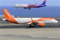 Miguel A. gueda Rguez.  (CANARY ISLANDS SPOTTING). Click to see full size photo