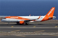 Alfonso Sols - Asociacin Canary Islands Spotting. Click to see full size photo