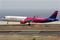 Alfonso Sols - Asociacin Canary Islands Spotting. Click to see full size photo