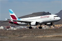 �Alfonso Sol�s - Asociaci�n Canary Islands Spotting. Click to see full size photo
