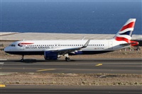 ©Alfonso Solís - Asociación Canary Islands Spotting. Click to see full size photo ©Alfonso Solís - Asociación Canary Islands Spotting. Click to see full size photo