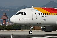 Jos Miguel Bernases - Noisy Spotters. Click to see full size photo