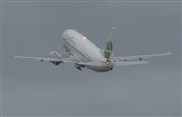 ALAMO AIRLINES.CANARY ISLANDS SPOTTING. Click to see full size photo