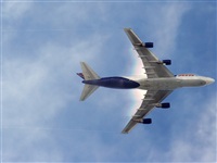 Andrs Meneses - Iberian Spotters. Click to see full size photo