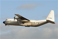 Carlos Moreira  *  PortugalSpotters.org. Click to see full size photo