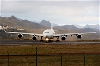 Gerardo A. Prez   Canary Islands Spotting. Click to see full size photo