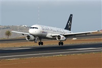 Gerardo A. Prez   Canary Islands Spotting. Click to see full size photo
