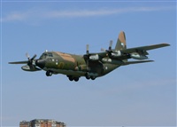 Hernn Argento. Click to see full size photo