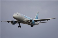 Jos Miguel Bernases - Noisy Spotters. Click to see full size photo
