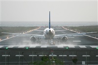 Adrin Alonso Lemes - Lanzarote Spotters. Haz click para ampliar