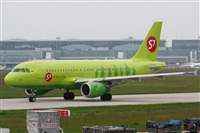 Rodrigo Carvalho - Noisy Spotters. Click to see full size photo