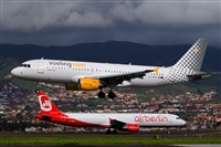 Javier de la Cruz - CANARY ISLANDS SPOTTING. Click to see full size photo