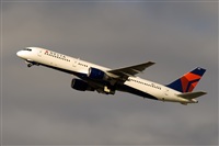 Javier de la Cruz - CANARY ISLANDS SPOTTING. Click to see full size photo