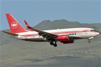 Rubn Gil - Noisy Spotters. Click to see full size photo